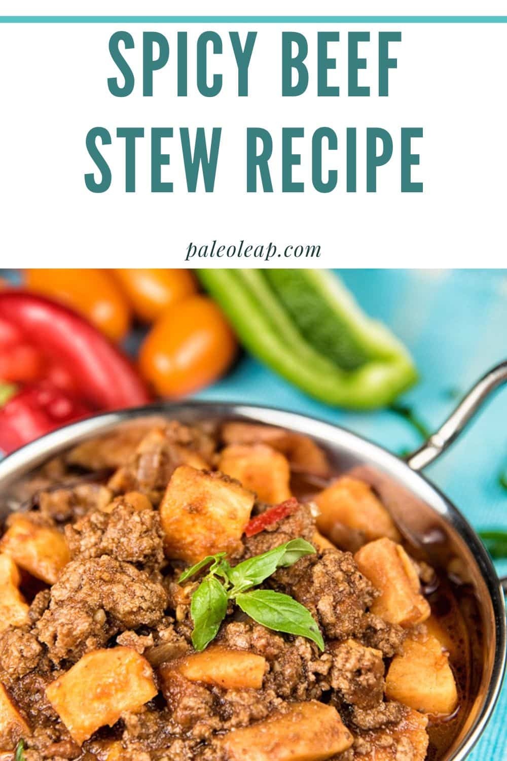 Spicy Beef Stew Recipe | Paleo Leap