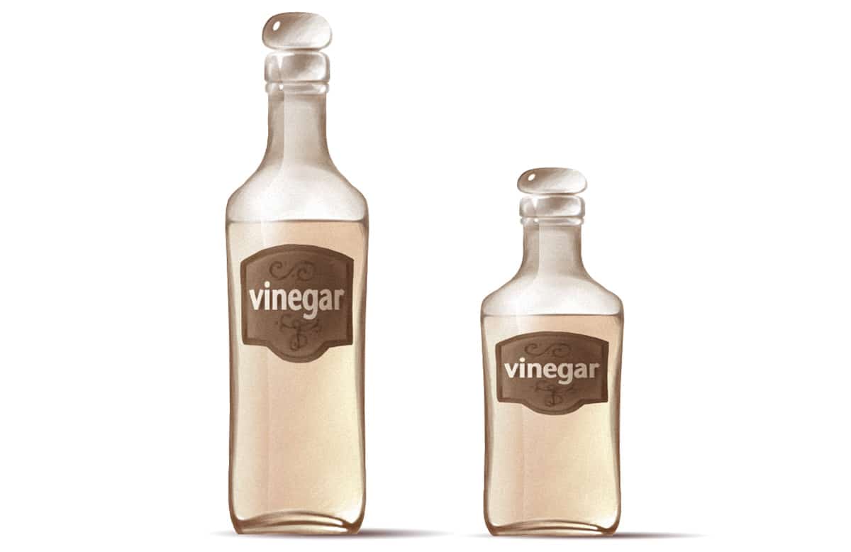 Vinegar Paleo