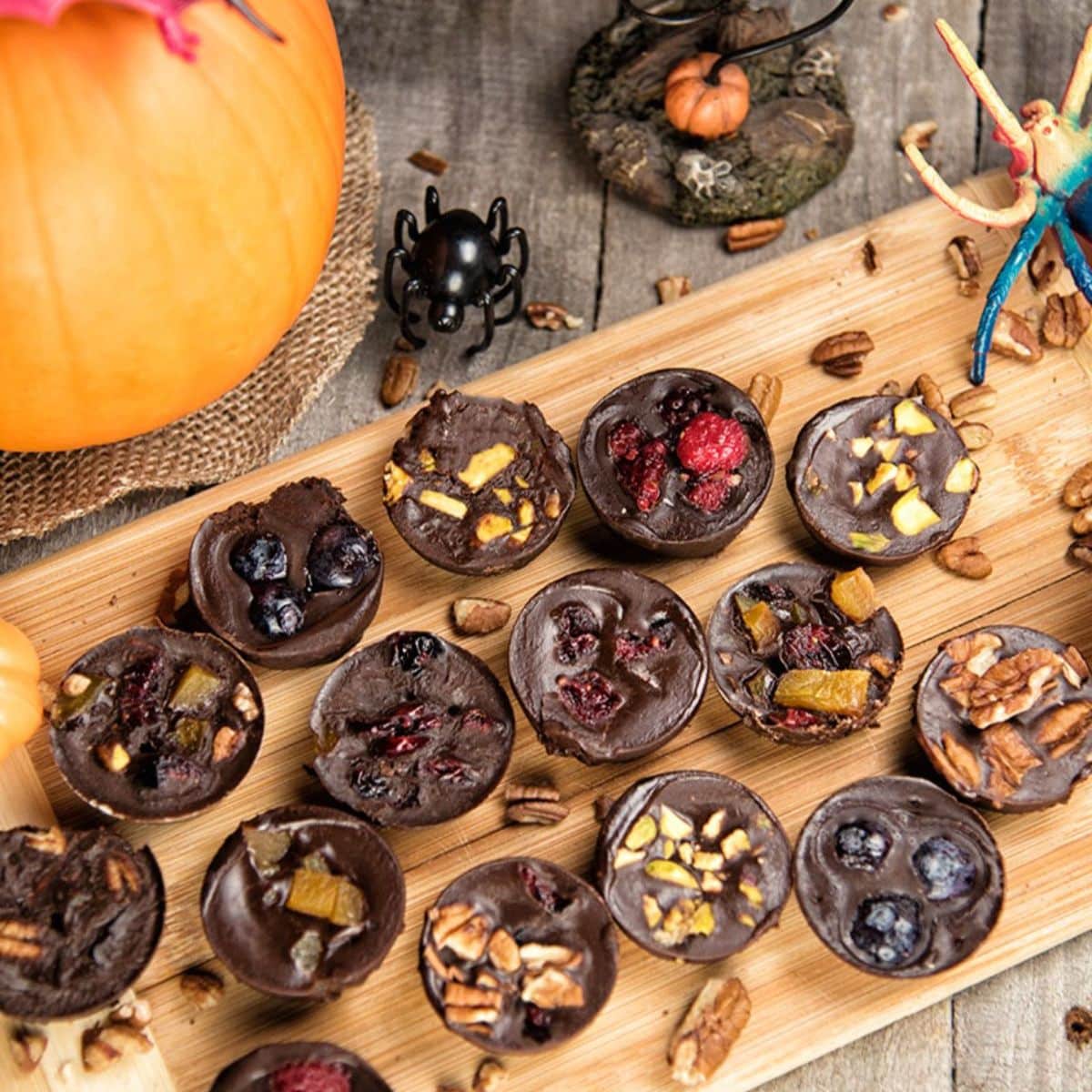 Chocolate-Coconut Bites Featured