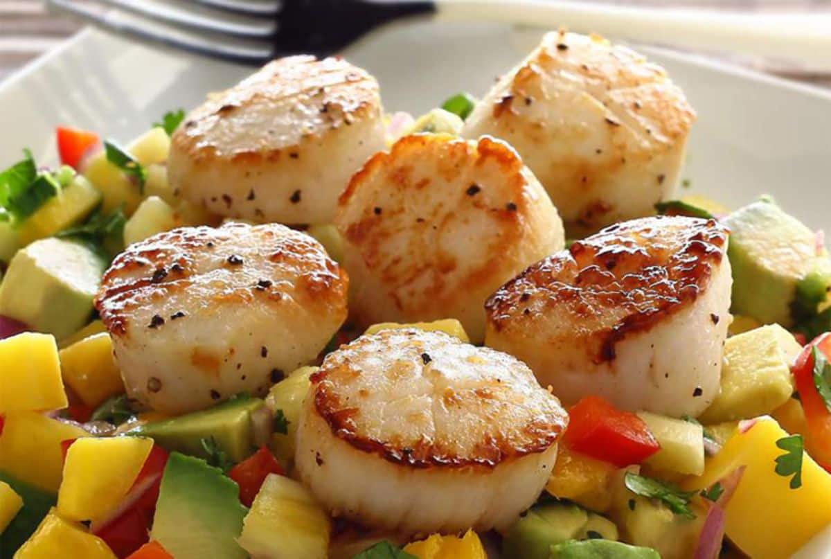 pale newbie scallops salsa recipe