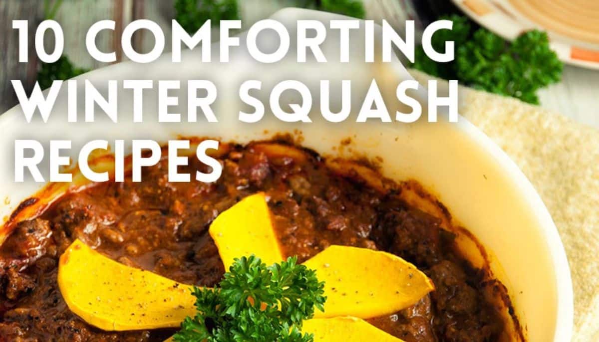winter squash recipes