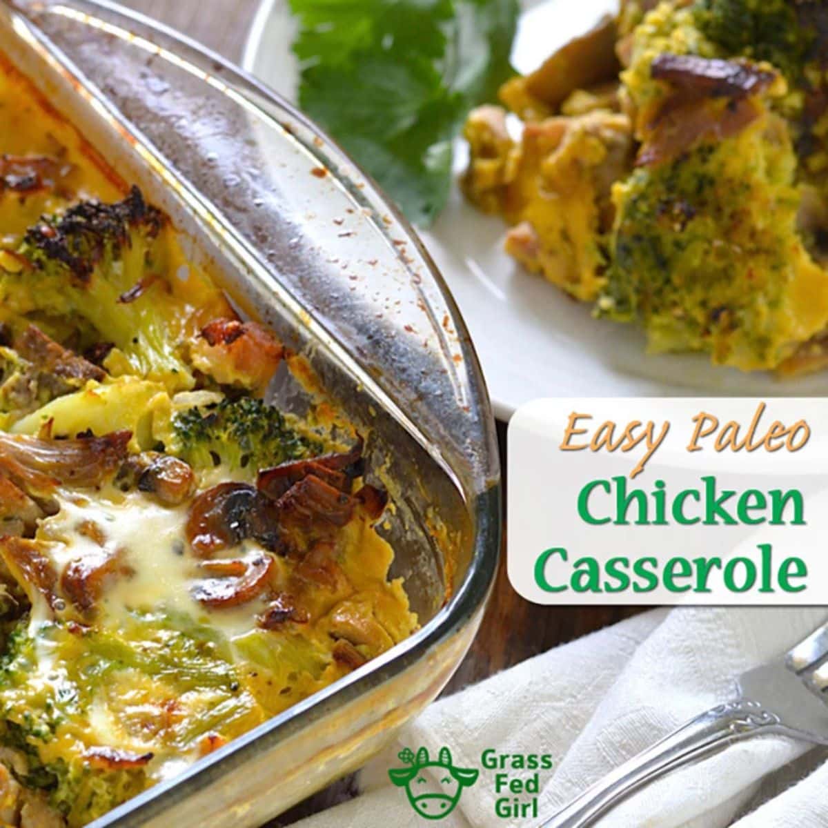 Easy Paleo Chicken Casserole Recipe