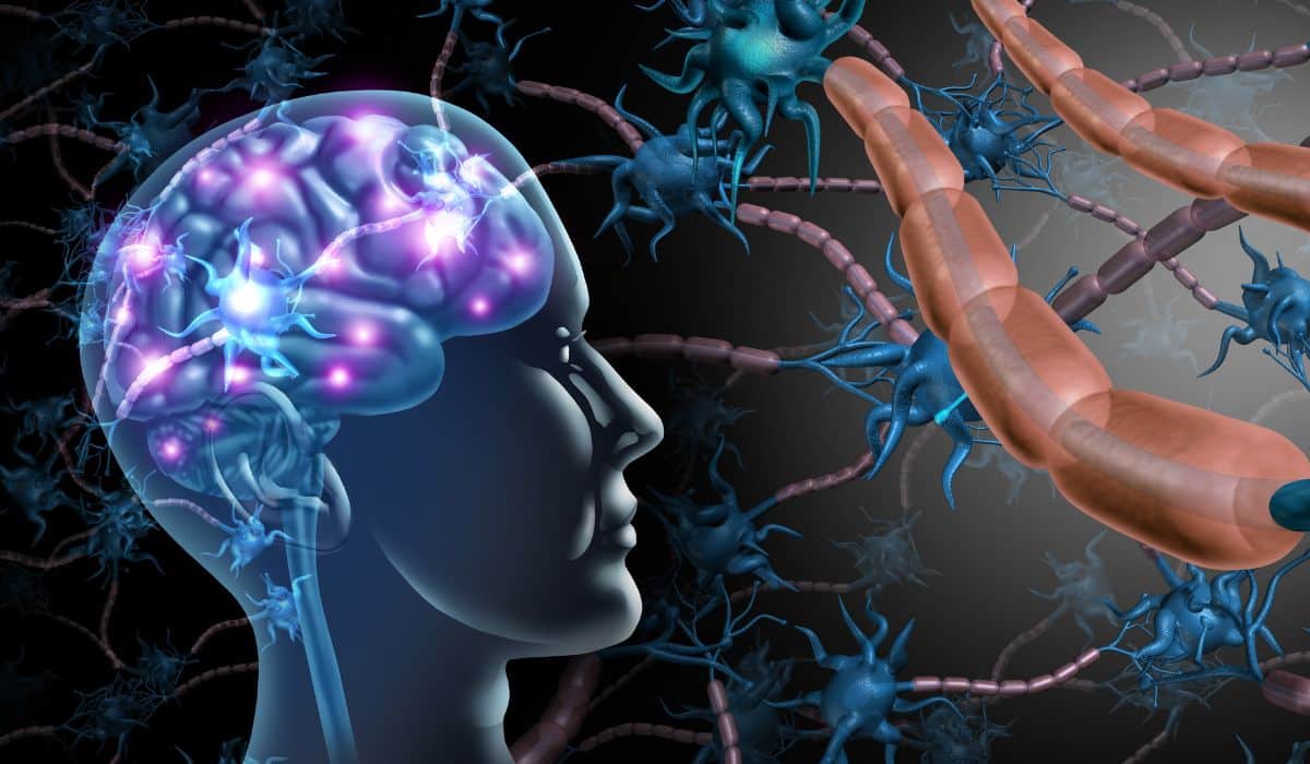 The Vagus nerve and how important is it to my overall Health?