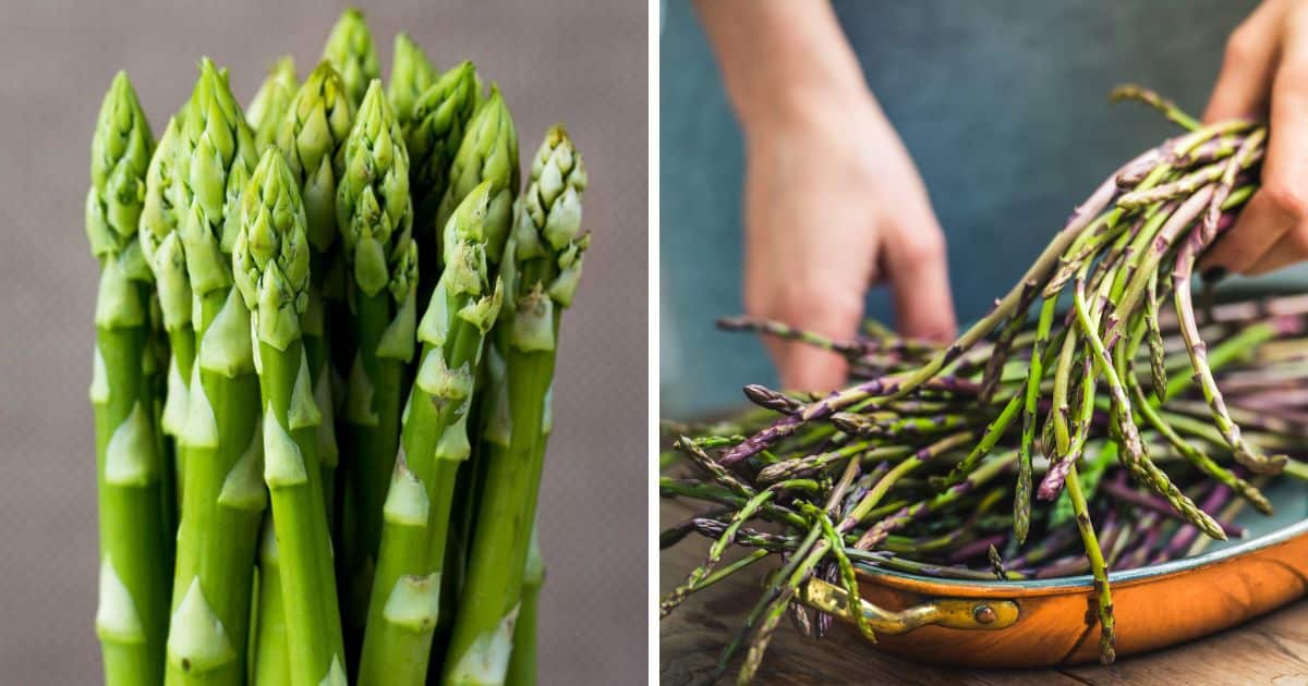 Paleo Foods: Asparagus | Paleo Leap