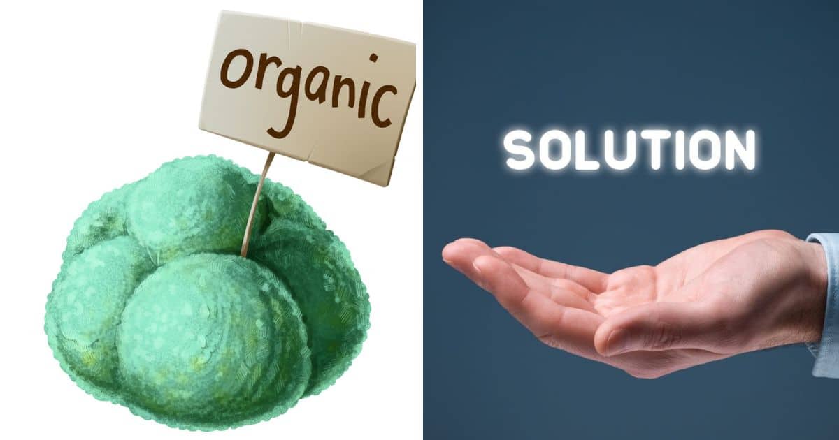 Soft Natural Problem The Problem with “Natural” and a Potential Solution | Paleo Leap