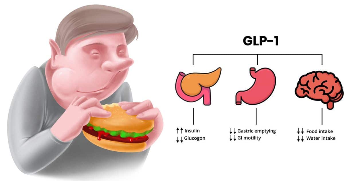 Glp 1 diet online uk www congress intercultural eu