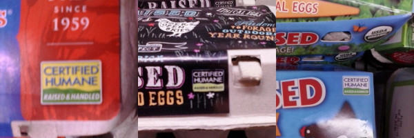 egg stickers