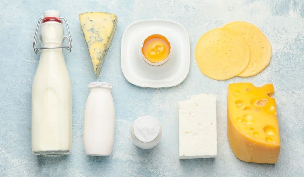 The Dairy Fat "Paradox," Explained Paleo Leap