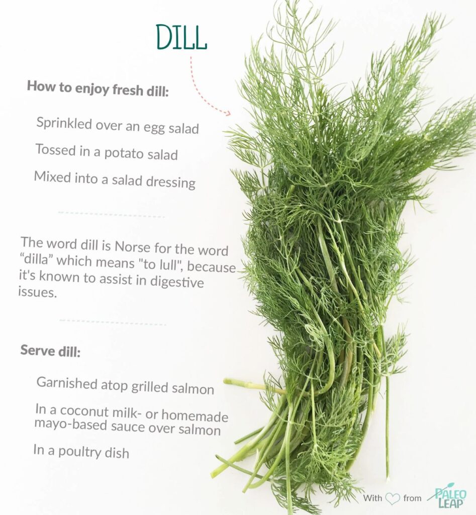 Paleo Foods: Dill | Paleo Leap