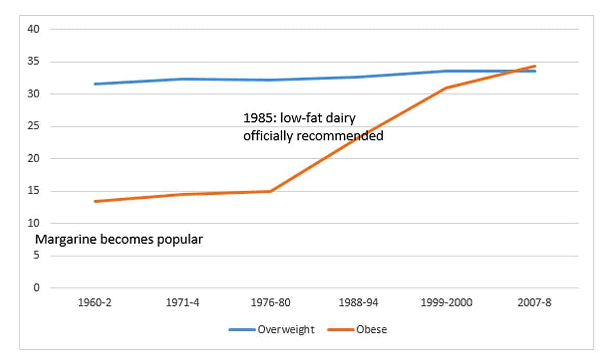obesity dairy