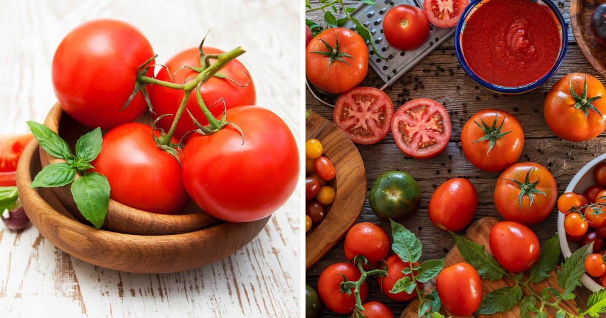 Paleo Foods Tomatoes Paleo Leap