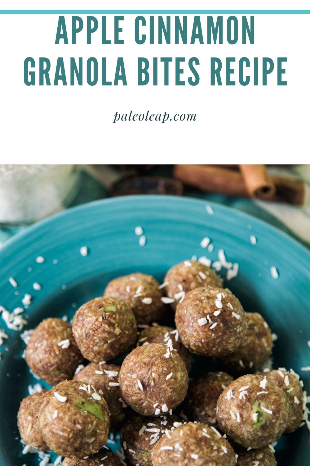 Apple Cinnamon Granola Bites Recipe Paleo Leap