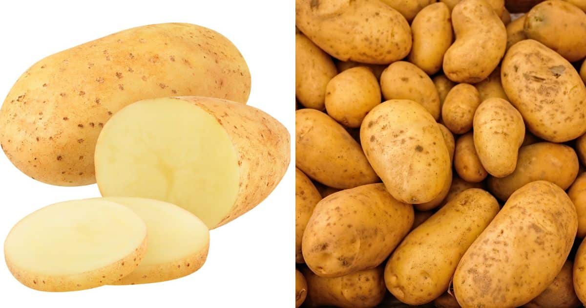 Are White Potatoes Paleo?