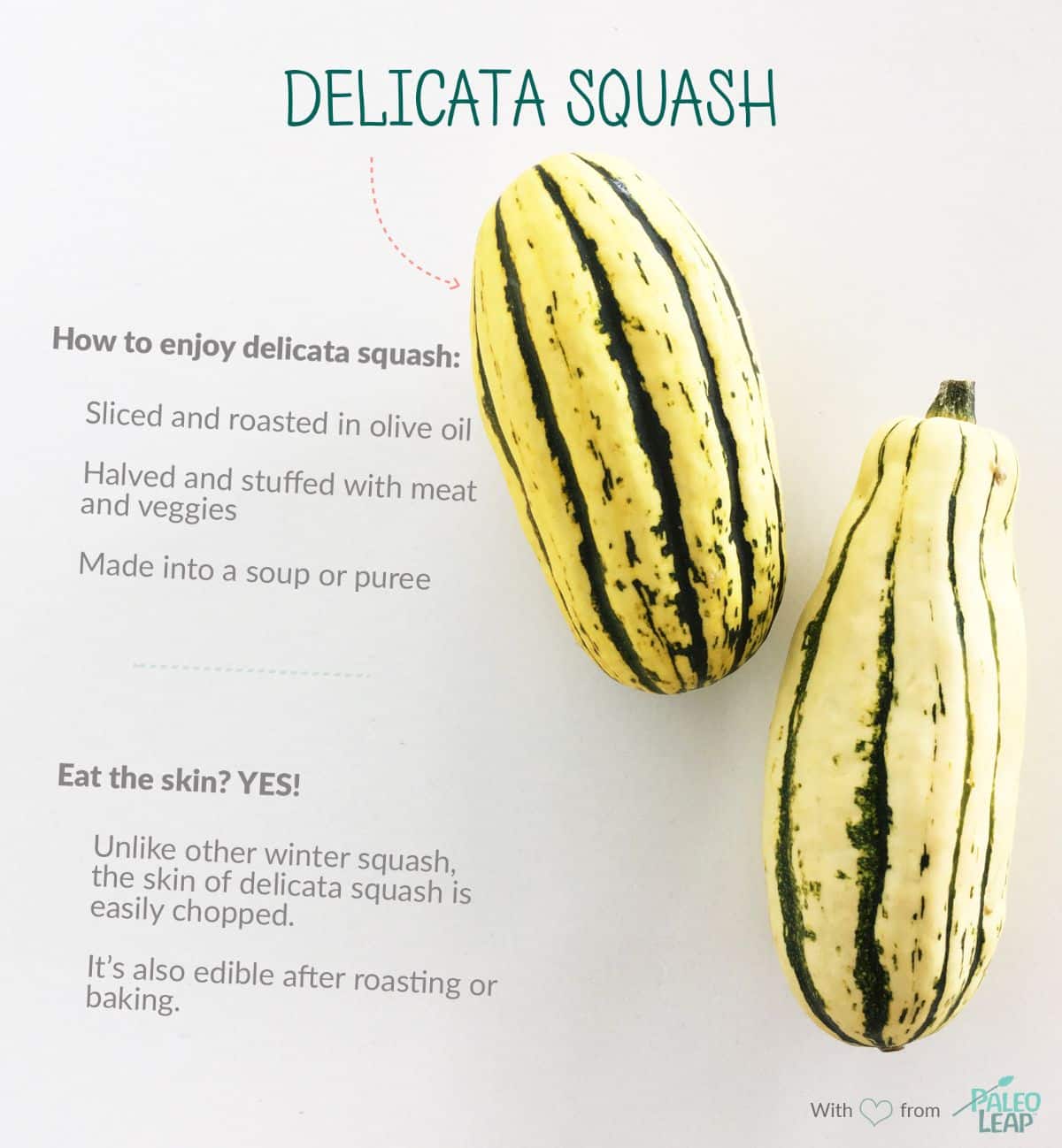 completed delicata squash