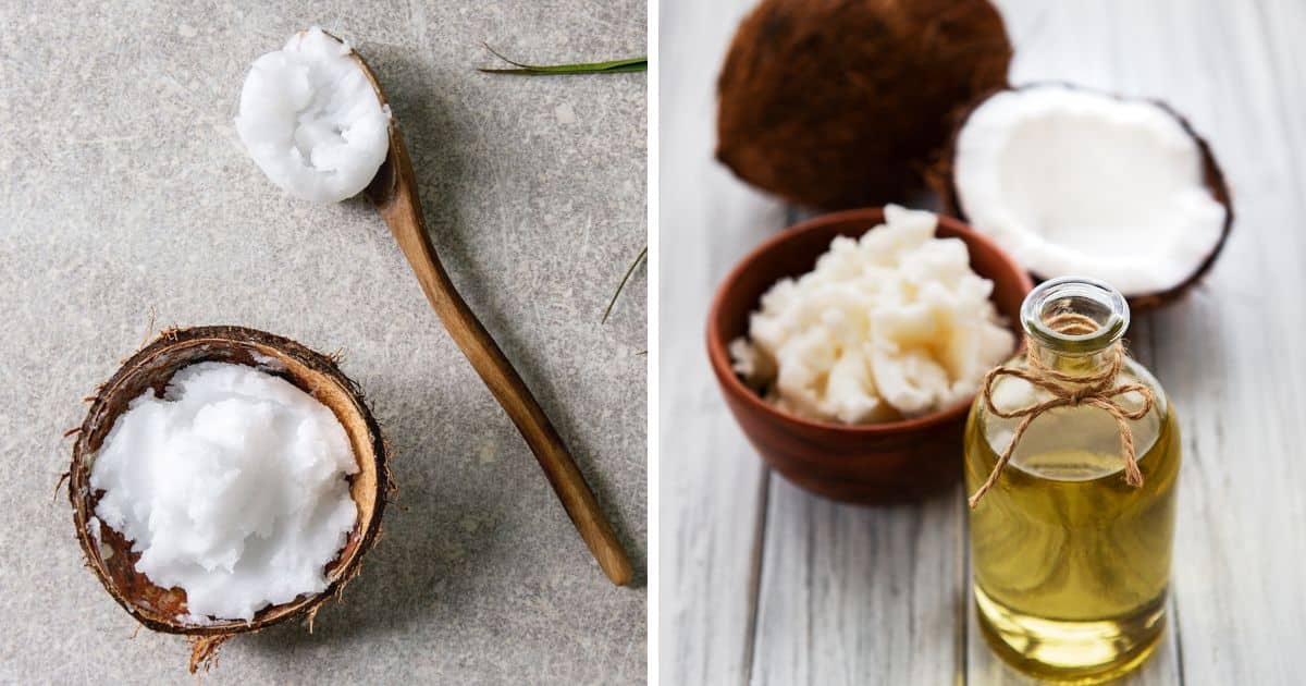 Paleo Foods Coconut Oil Paleo Leap