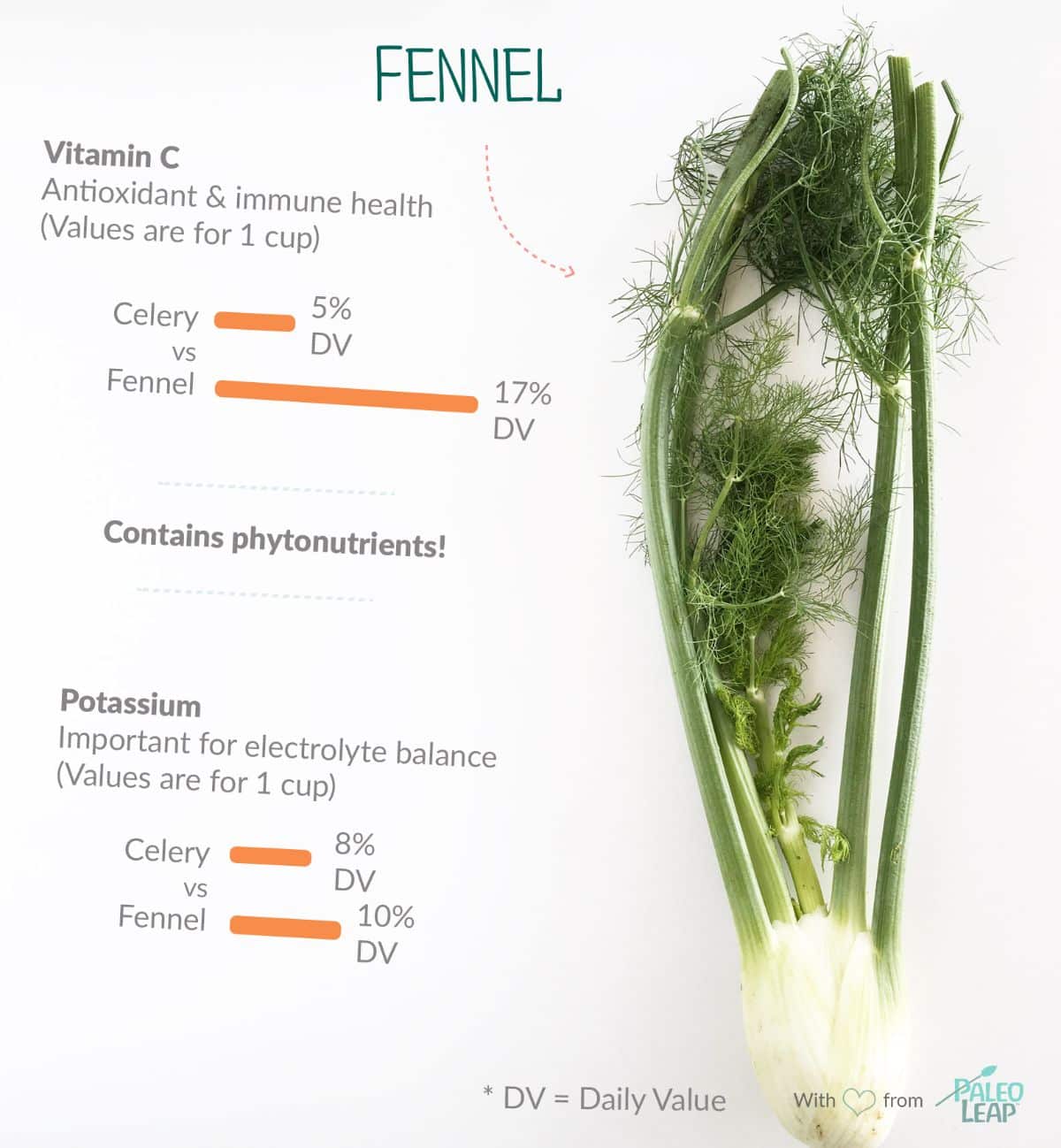 completed fennel
