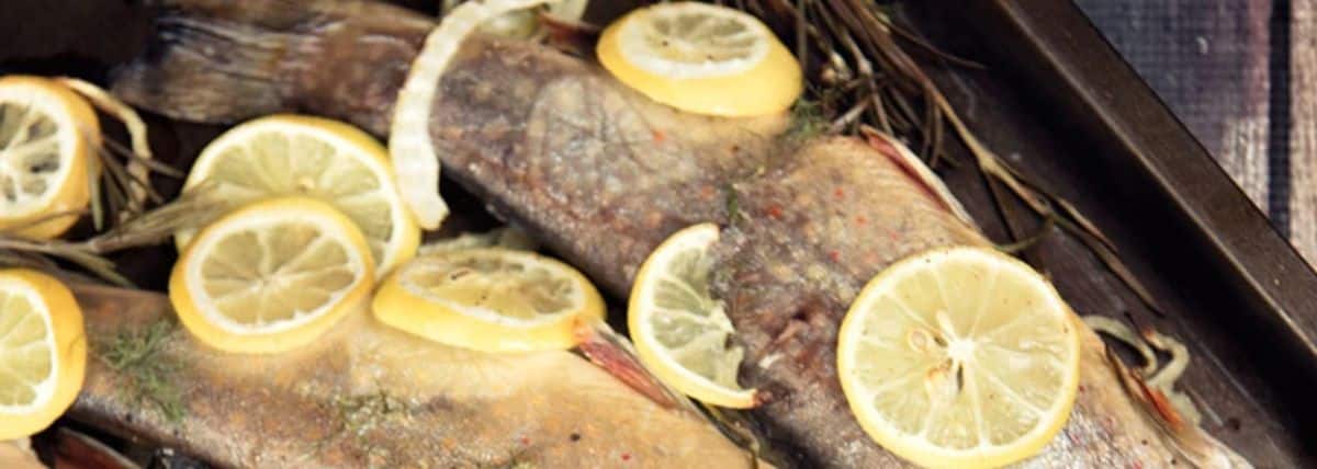 fennel lemon roasted fish main