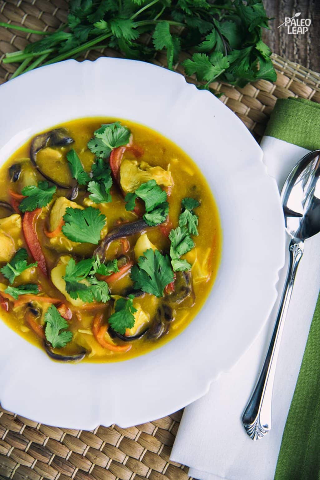 Chicken and Coconut Curry Soup Recipe | Paleo Leap