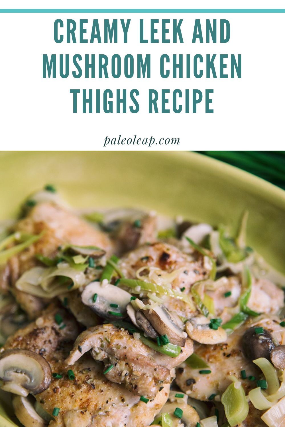 Creamy Leek and Mushroom Chicken Thighs Recipe | Paleo Leap