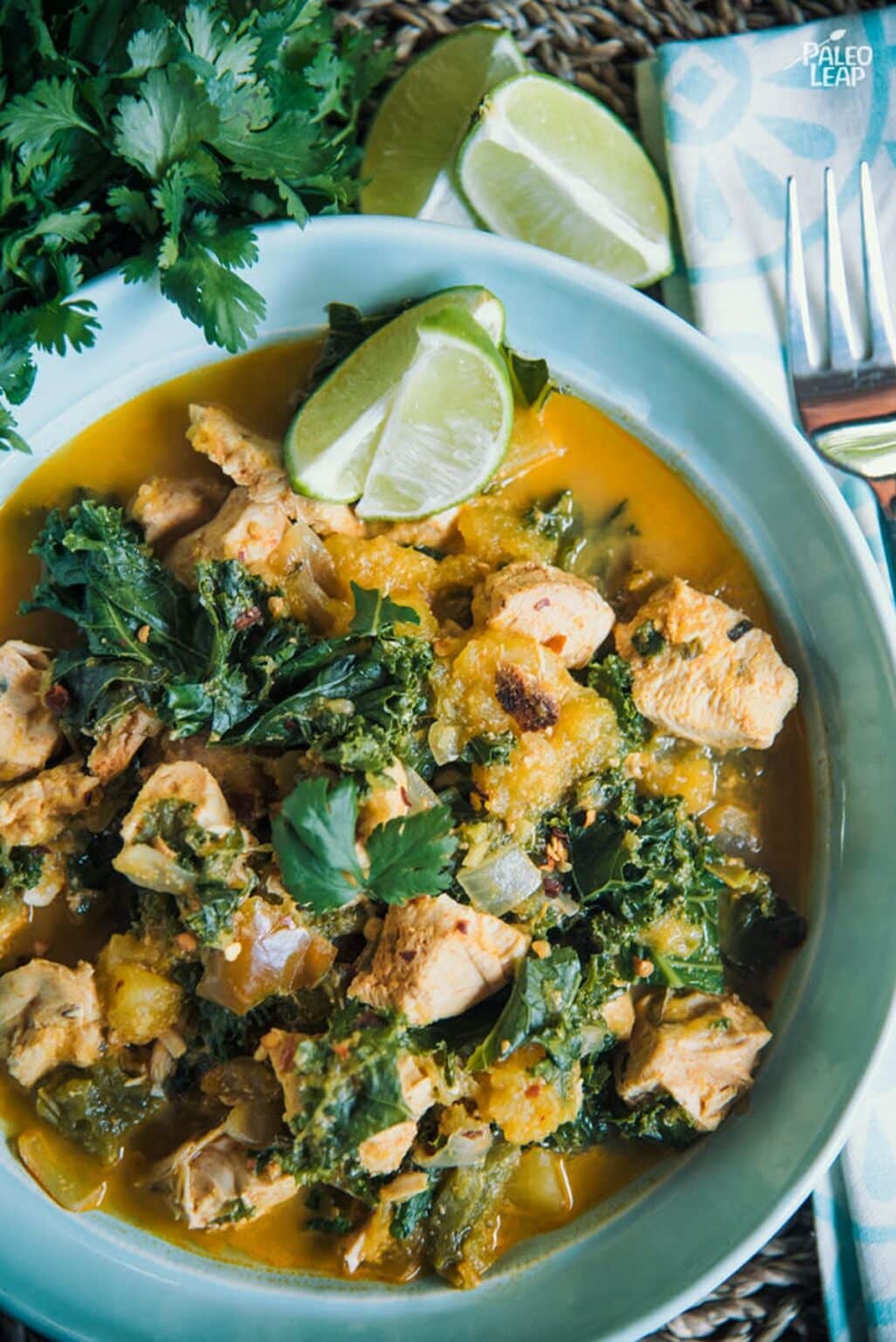 Slow Cooker Curry Chicken Recipe | Paleo Leap