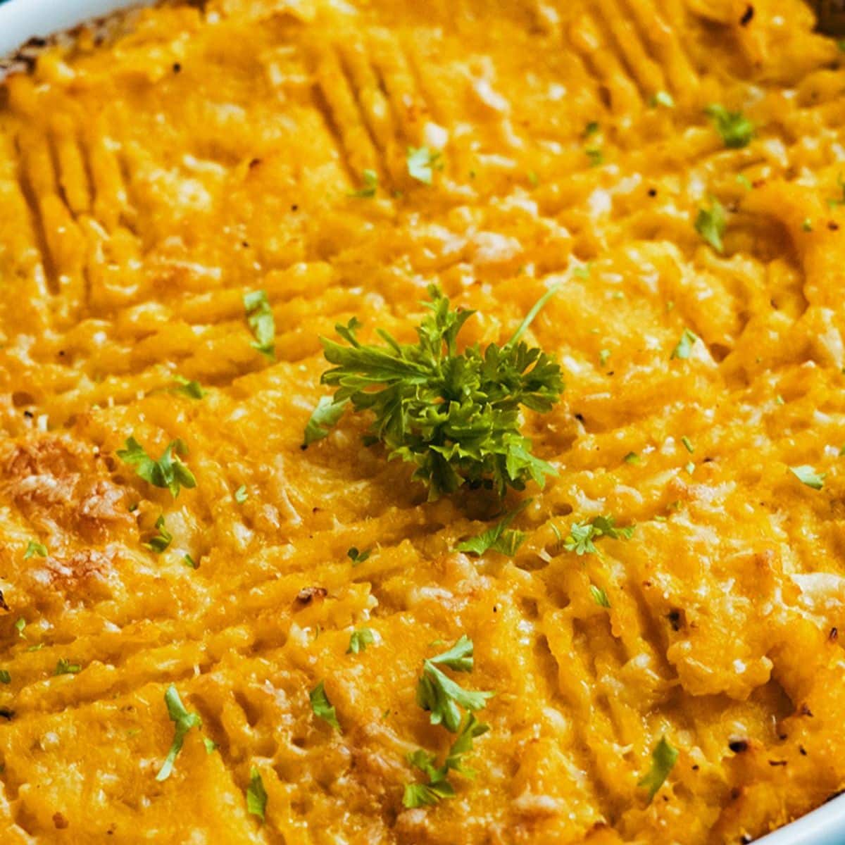 Butternut And Cauliflower Casserole Featured