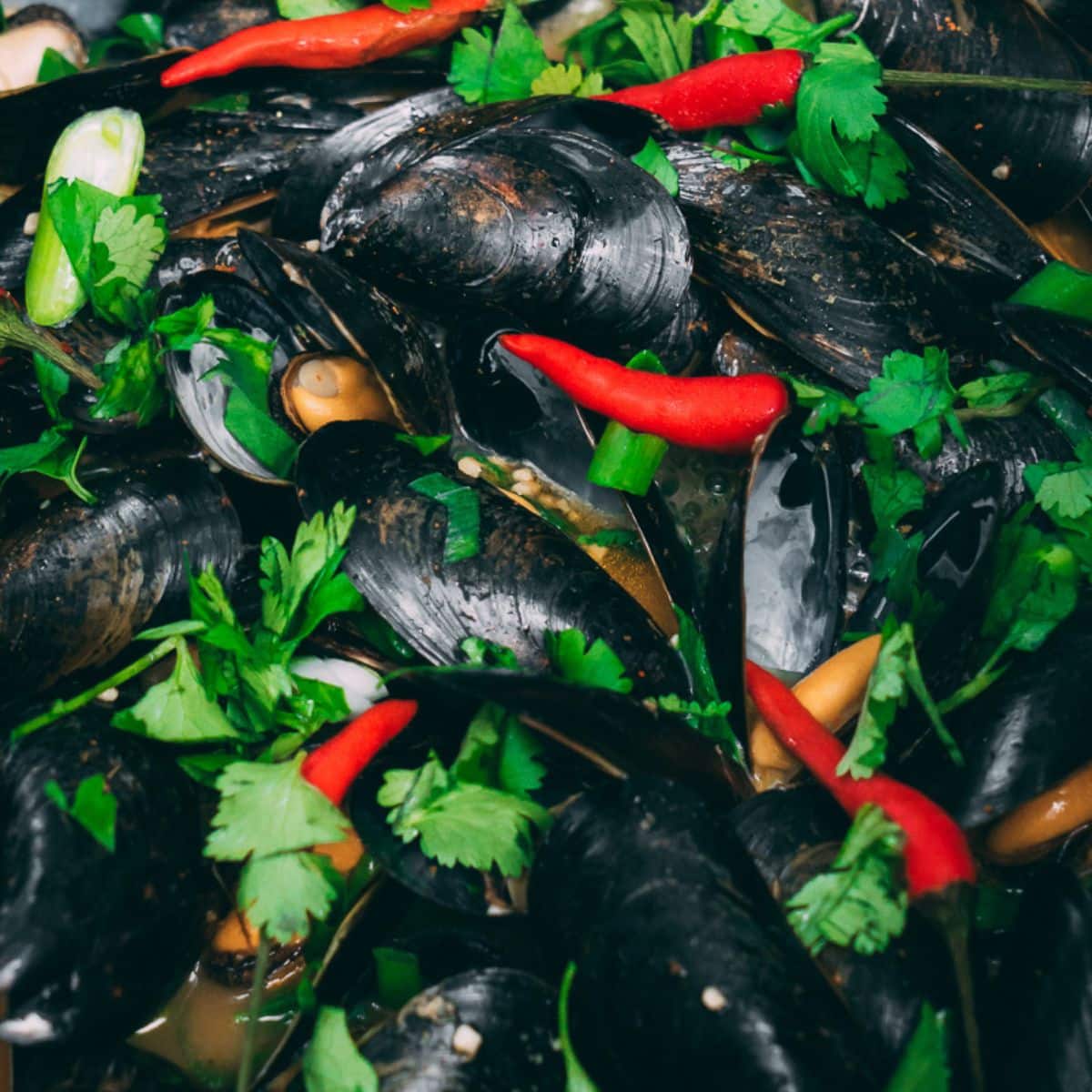 Thai Steamed Mussels