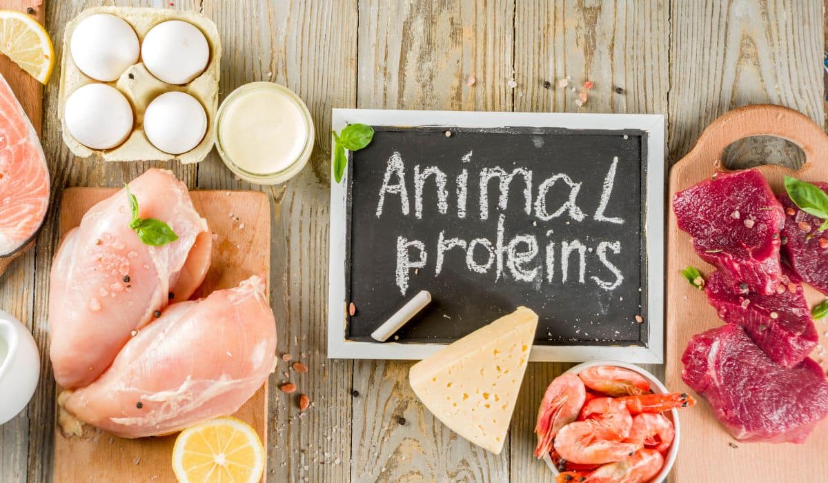 Animal Protein