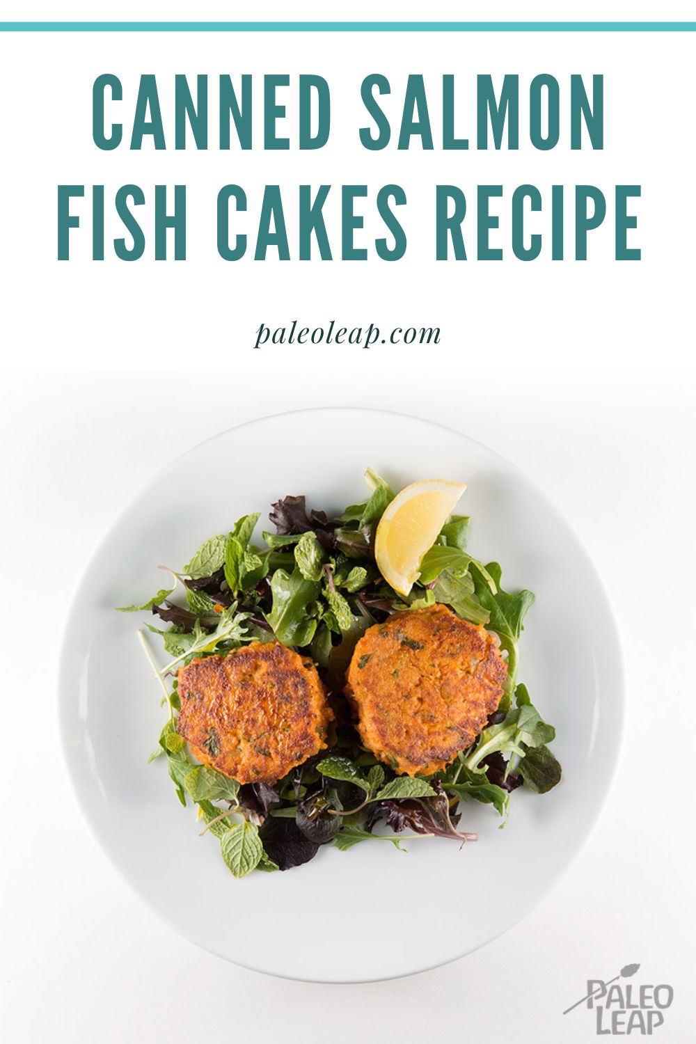 Canned Salmon Fish Cakes Recipe Paleo Leap