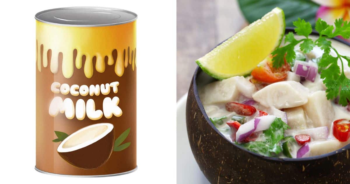 The Cappuccino Showdown Pt.2: Coconut Milk vs. Milk Milk - Dulcet Devotion