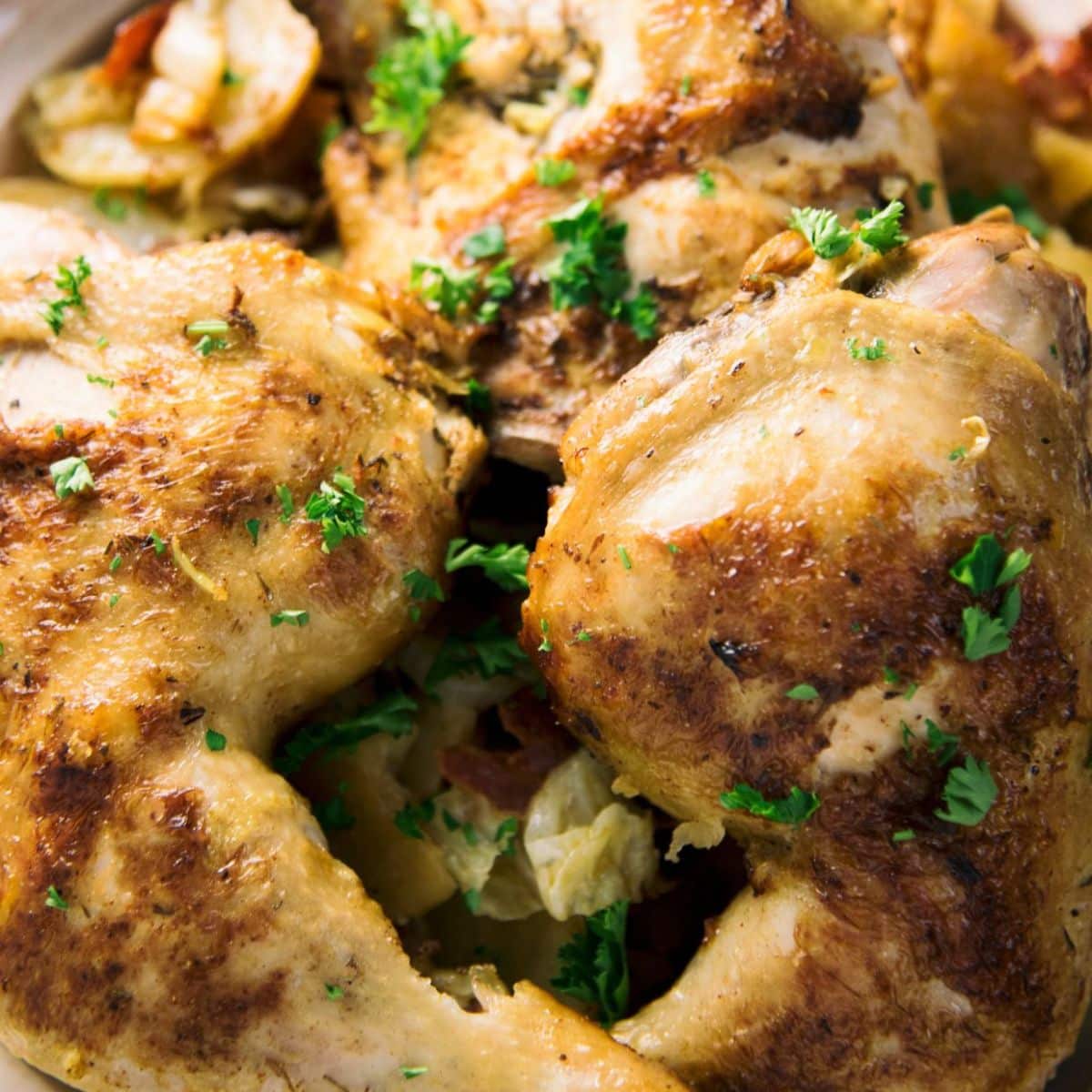 Paleo Chicken and Poultry Recipes