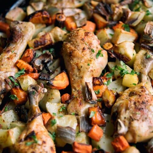 Paleo Chicken and Poultry Recipes