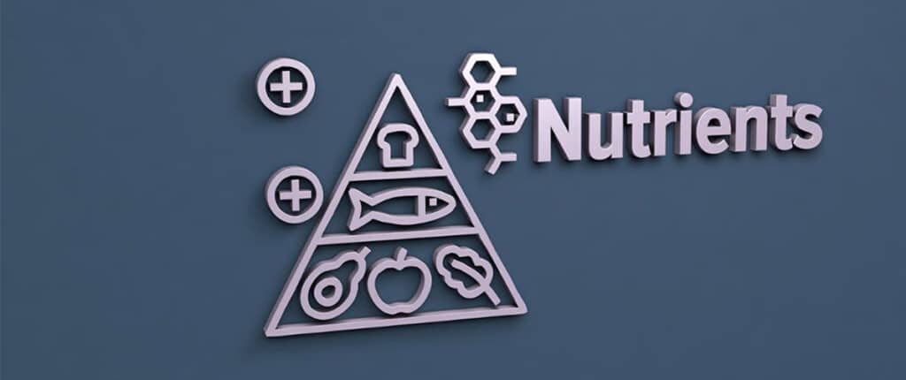 Food Rda Icon Should you Trust the RDA? | Paleo Leap