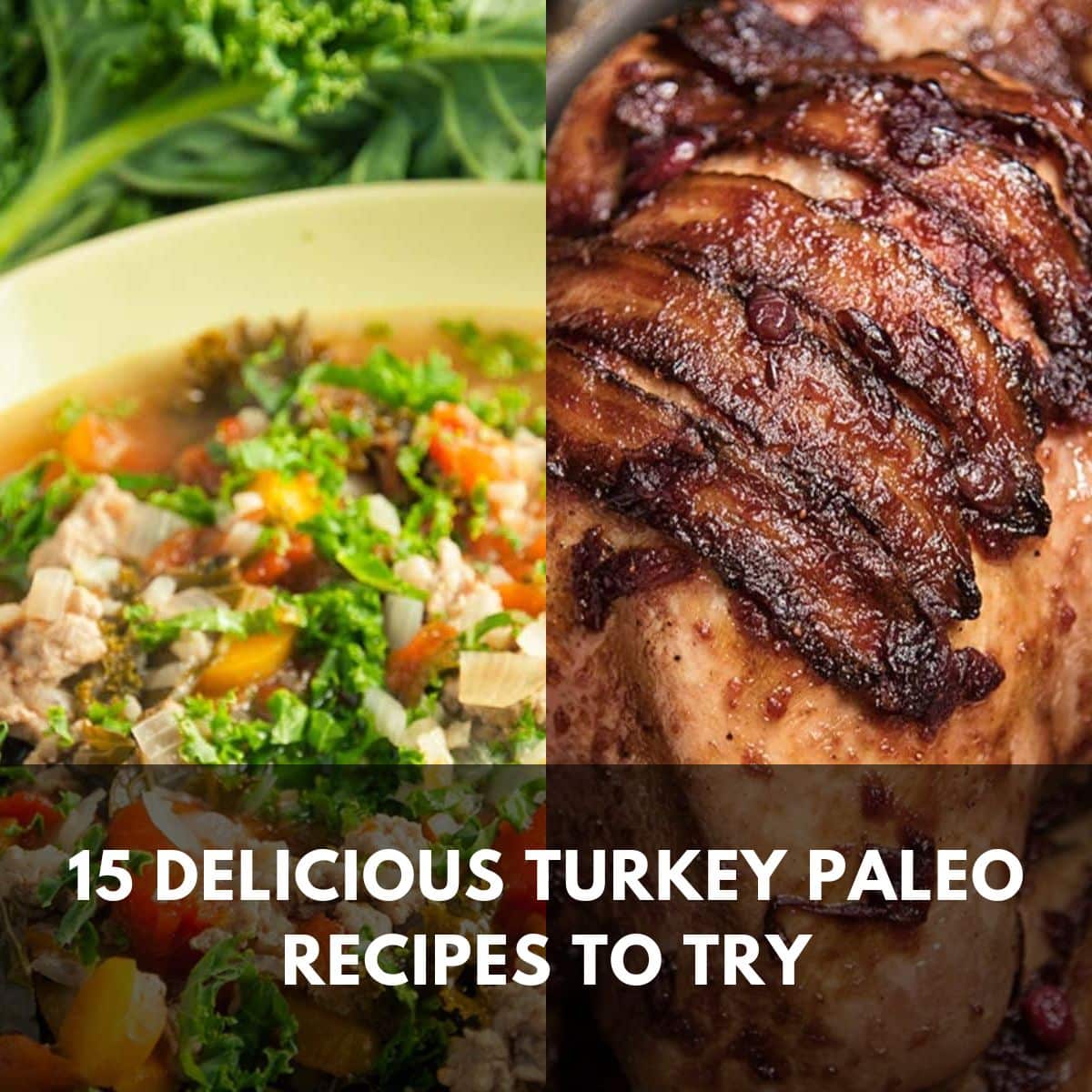 15 delicious turkey paleo recipes to try main
