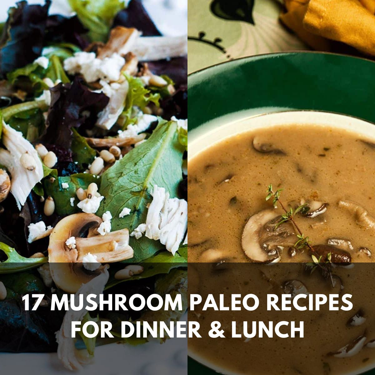 17 mushroom paleo recipes for dinner & lunch main