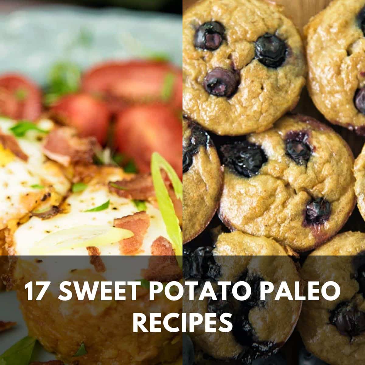 17 sweet potato paleo recipes main