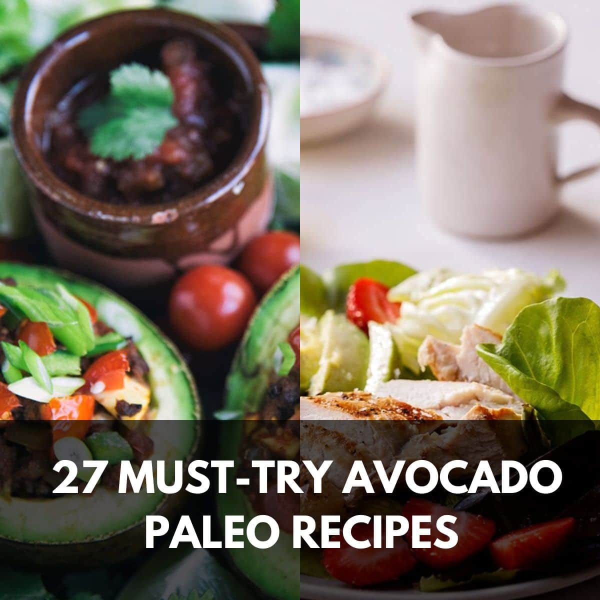 27 Must Try Avocado Paleo Recipes