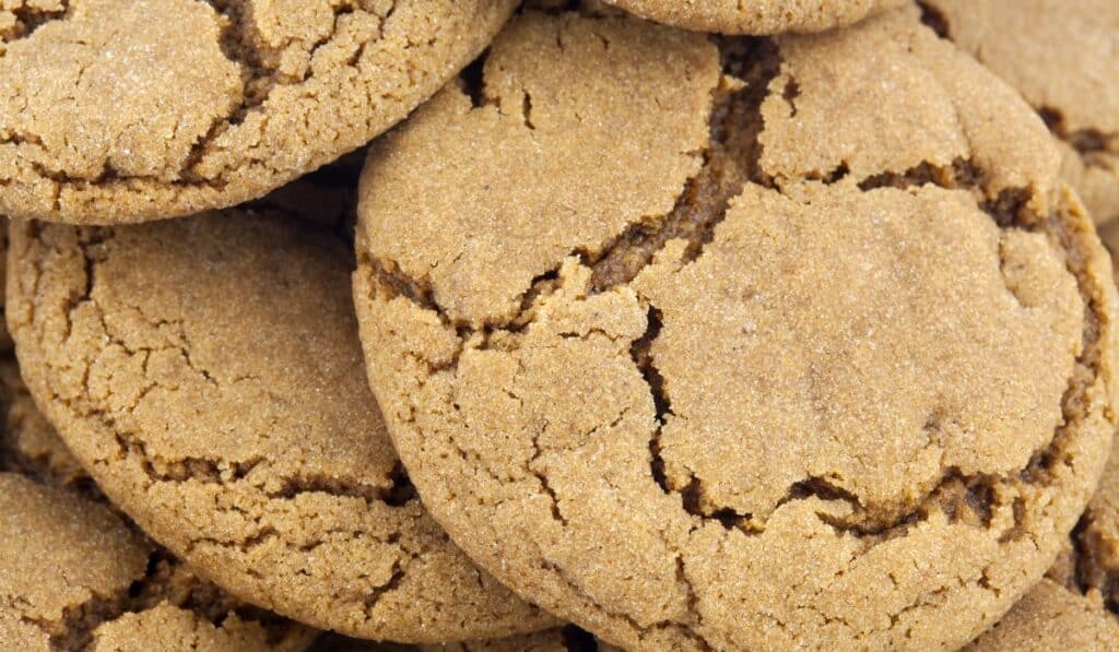 10 Festive Holiday Paleo Cookie Recipes Paleo Leap