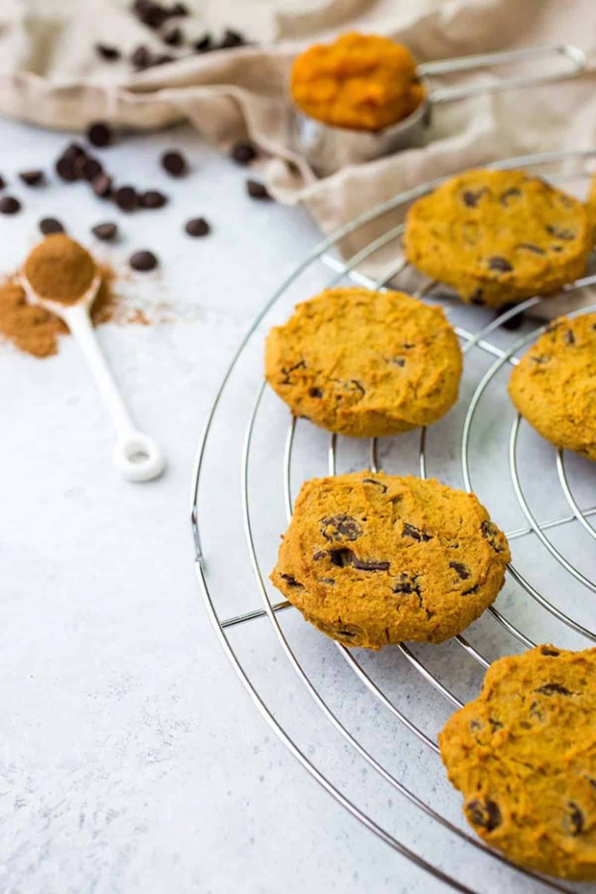 Paleo Pumpkin Chocolate Chip Cookies