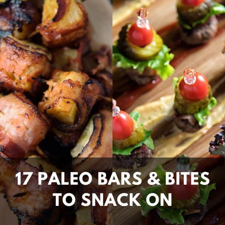 17 Paleo Bars & Bites To Snack On Paleo Leap