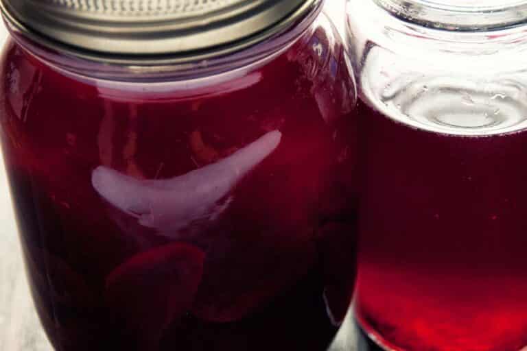 Beet Kvass Paleo Leap