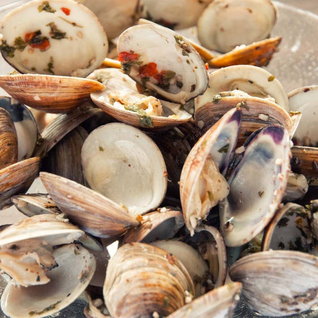 Clam Shell Menu Italian Clams | Paleo Leap