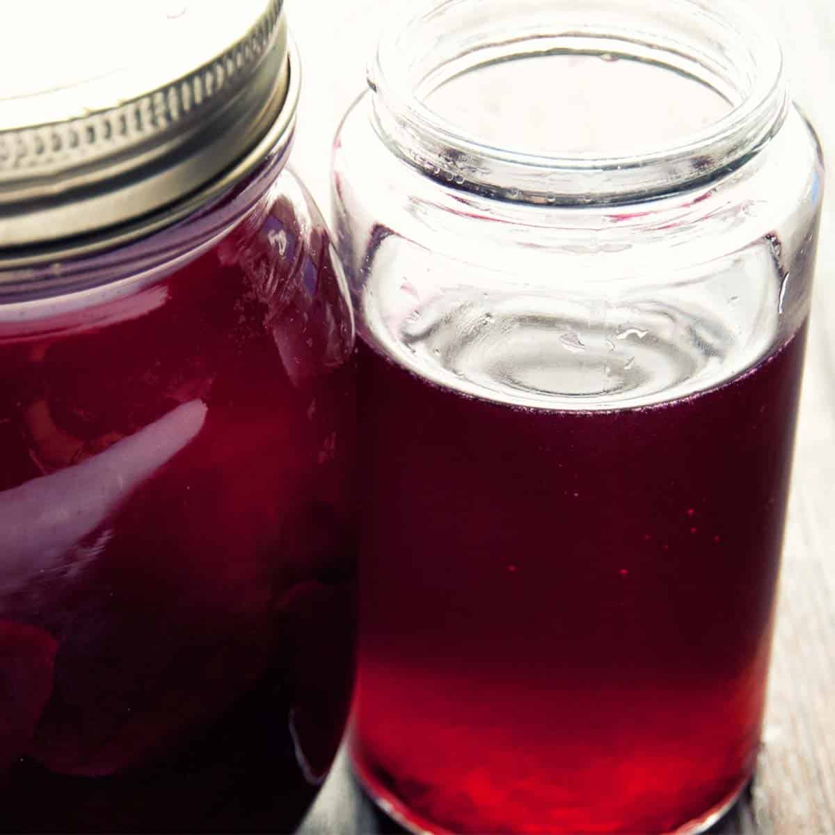 Beet Kvass | Paleo Leap